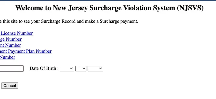 Www.njsurcharge.com – NJ Surcharge Payment Online